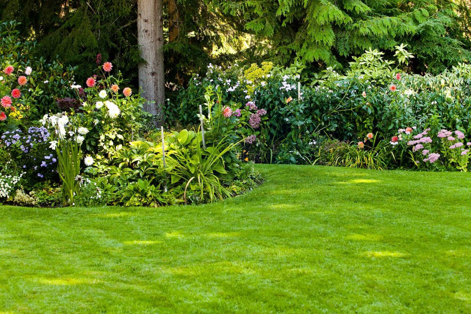 Beautiful backyard lawn and flower garden designed by BUR-HAN Garden & Lawn Care in Vancouver.